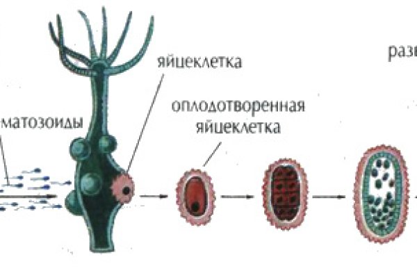 Кракен рабочая ссылка 2024